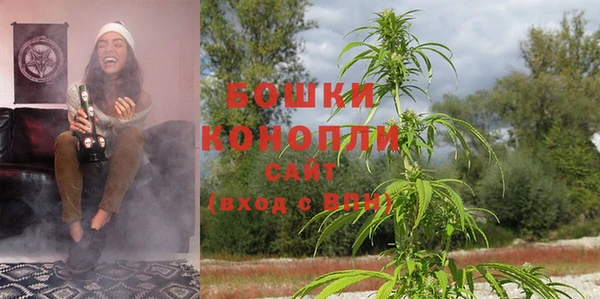 трава Козловка